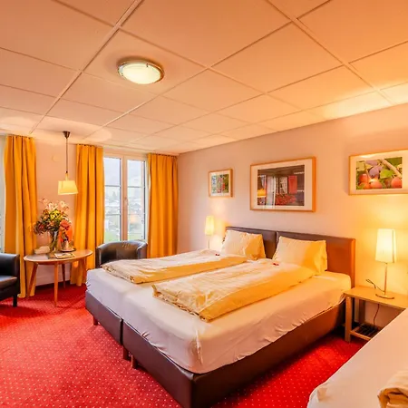 Staubbach Hotel 2*