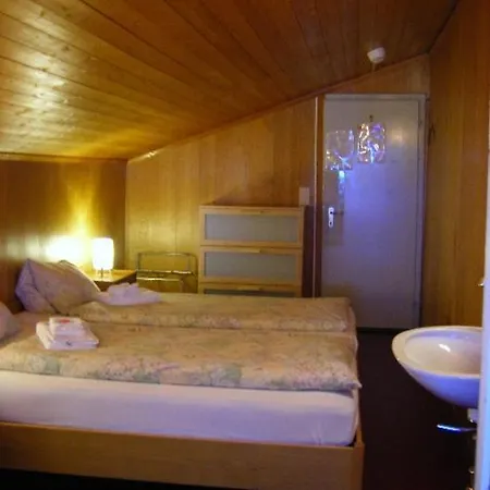 Staubbach Otel 2*