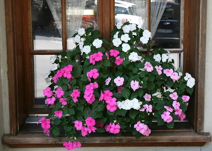 شتاوباخ 2* لوتربرونن