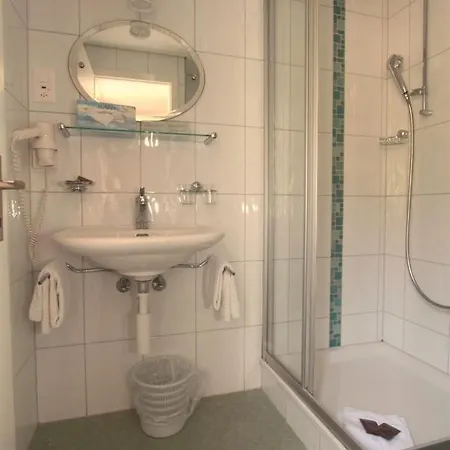 Hotel Staubbach 2*